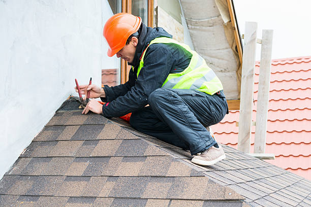Best Roof Repair Services  in Madison, SD